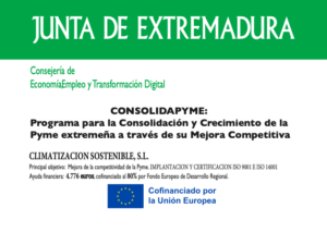 , Subvenci&oacute;n CONSOLIDAPYME